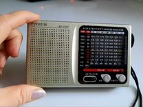 303 сестрорецк. приморское шоссе 391. 303 сестрорецк. 303 сестрорецк. новости сестрорецк мвд.