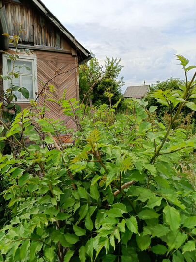 Дача 25 м² на участке 7 сот.