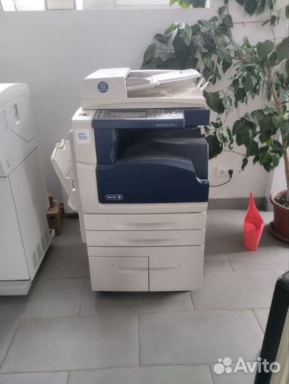Xerox wc 5945 ч/б А3