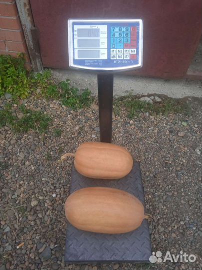 Продам тыкву 4х сортов