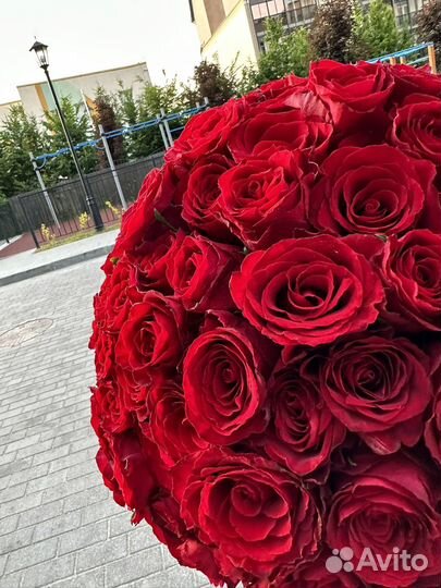 Букет из 105 роз 40см.Доставка