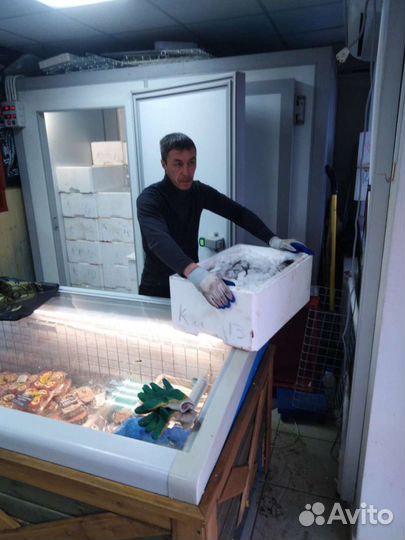 Услуги грузчиков,грузчики и газель