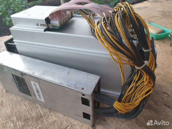 Asic bitmain antminer l3+