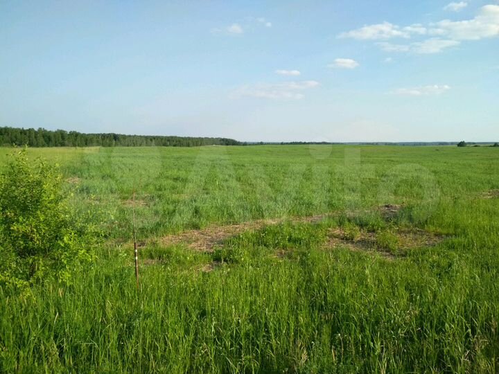 Участок 14 га (СНТ, ДНП)
