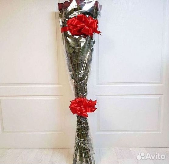 Высокие розы Гигантские Розы 150 160 170 180 190см