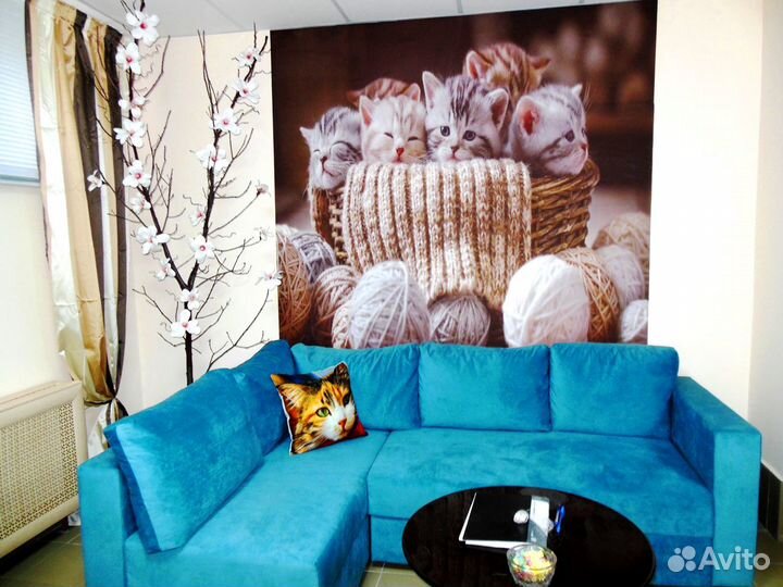 Зоогостиница 