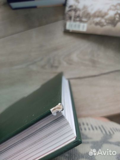 Книга твин пикс (тайная история)