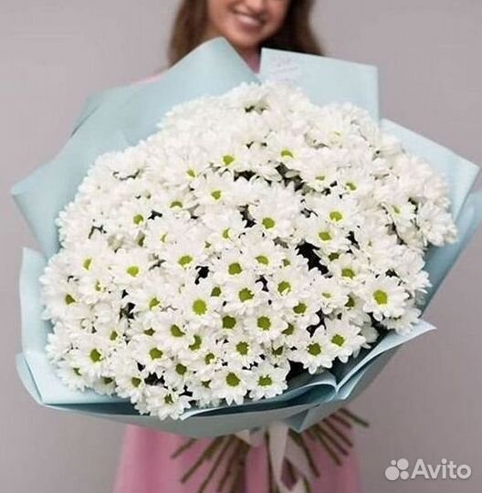 Хризантема. Букеты Цветы доставка