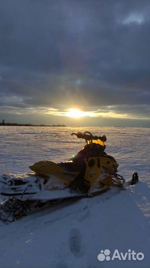 Brp ski doo mxz 800 renegade