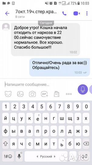 Стерилизация/кастрация кошек на дому