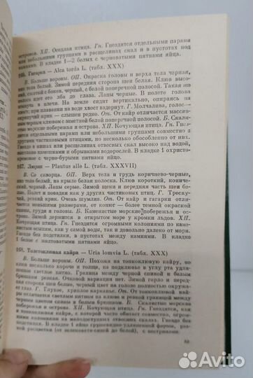 Беме Р.Л., Кузнецов А.А. Птицы открытых и околовод