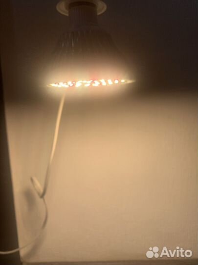 Лампа для рассады