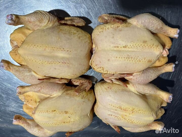 Охлажденое мясо курицы (бройлера)