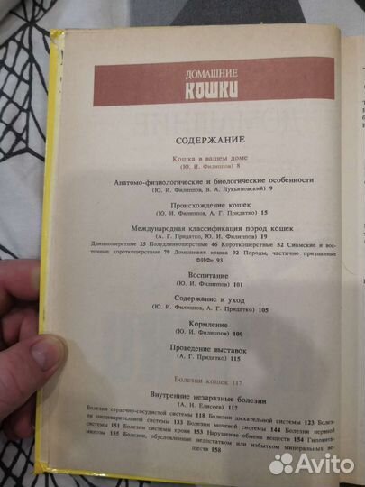 Домашние кошки