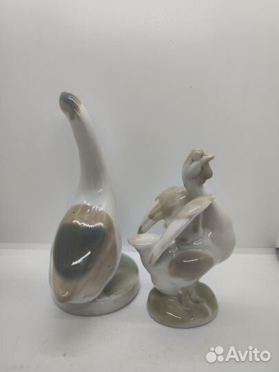 Гуси Городница