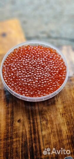 Красная икра