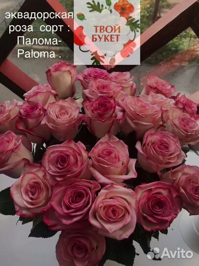 Розы,букеты с доставкой