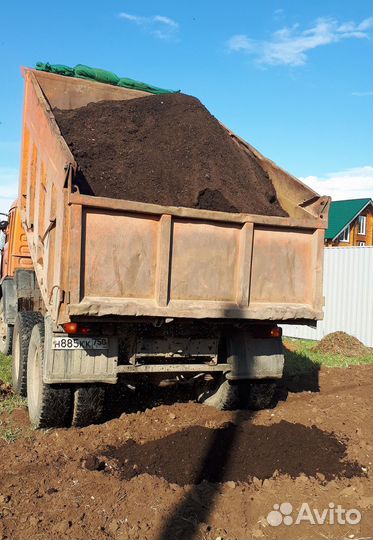 Почва для гортензии садовой