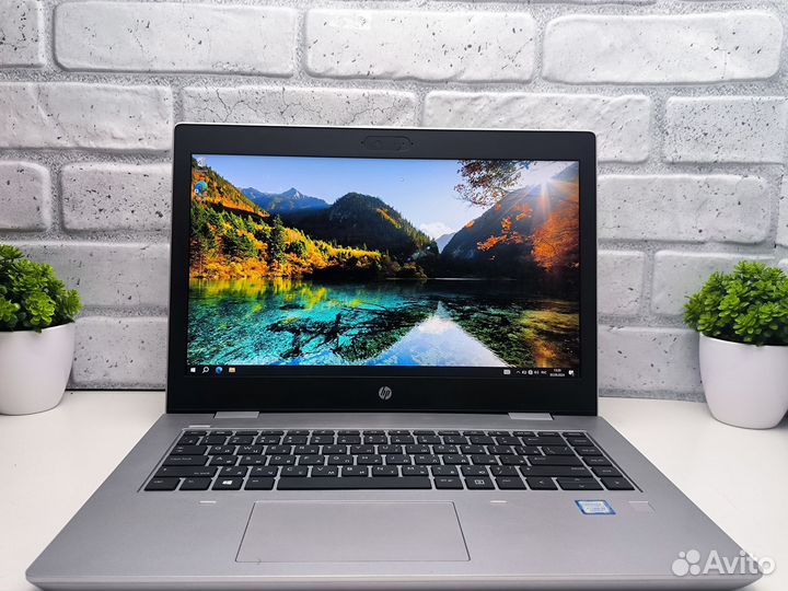 Мощный ноутбук HP на Nvme