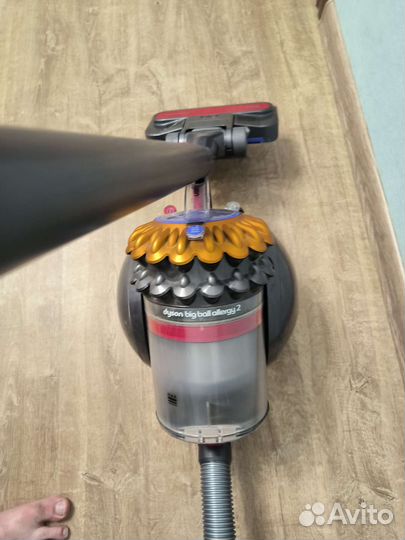 Dyson Allergy ball 2