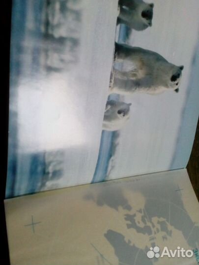 Великие географические открытия