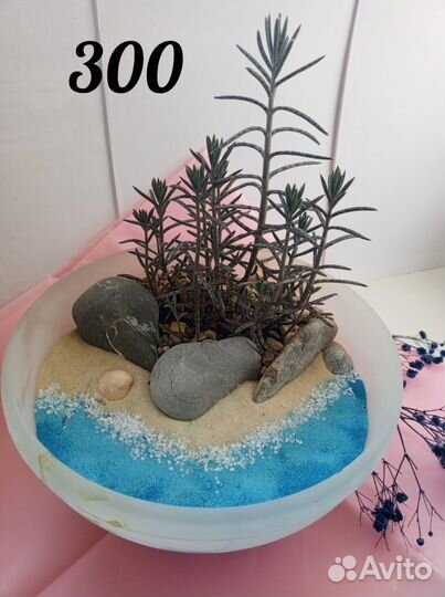 Флорариумы