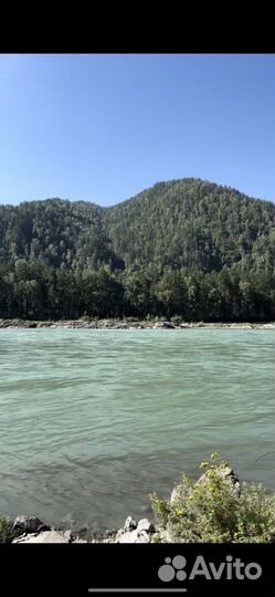 Мед Алтайский *Горное разнотравье*