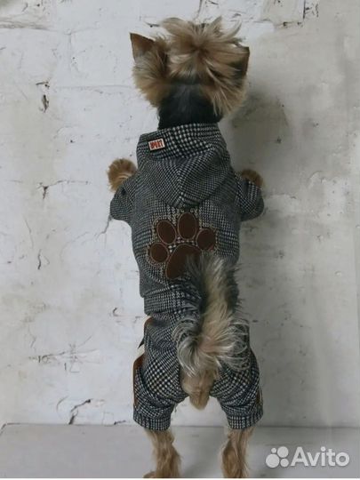 Комбинезон для маленькой собаки