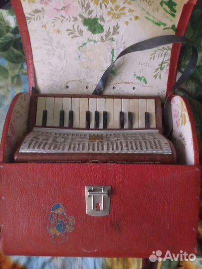 Аккордеон 