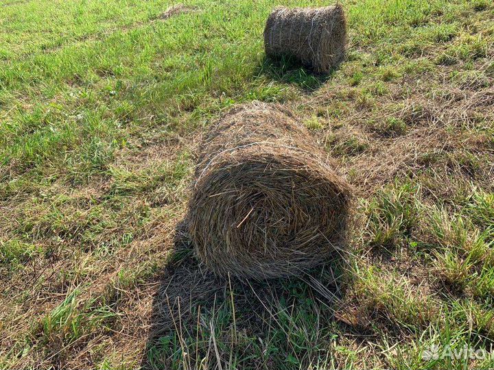 Сено в рулонах 2023