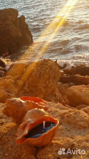 Свечи гелевы в ракушках