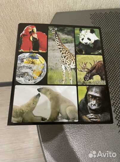 Энциклопедия в мире дикой природы