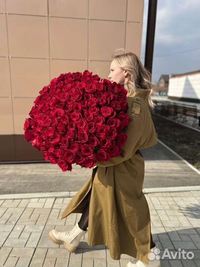 Роза эквадор метровые. роза 100см премиум класса