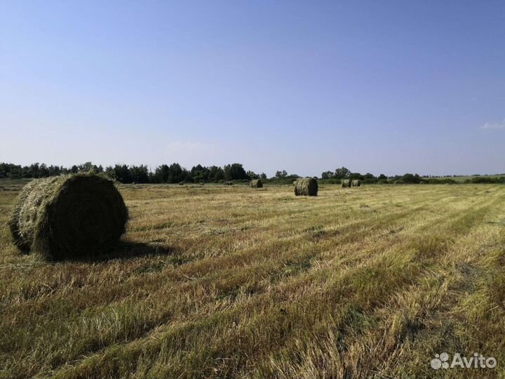 Сено доставка