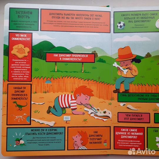 Энциклопедия про динозавров с окошками