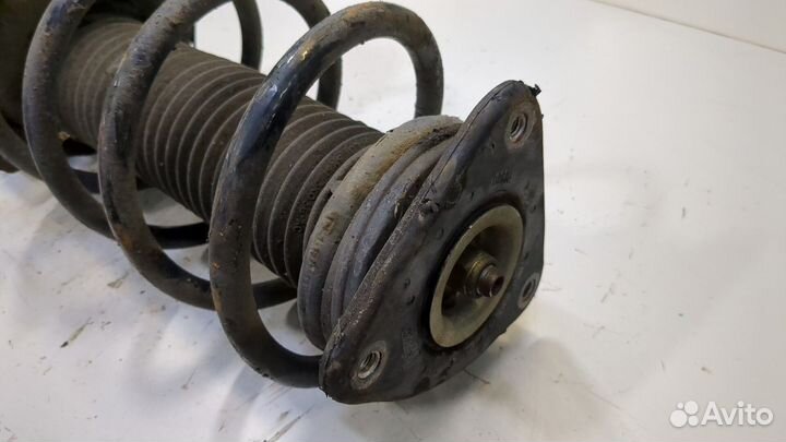 Амортизатор подвески Ford Focus 2, 2007