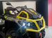 Квадроцикл Aodes Pathcross MAX 1000 MUD PRO