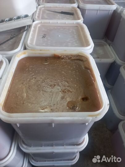 Гречичный башкирский мёд