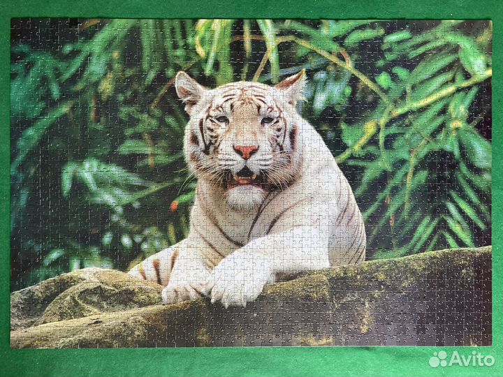 Пазл с тигром, 1500 деталей