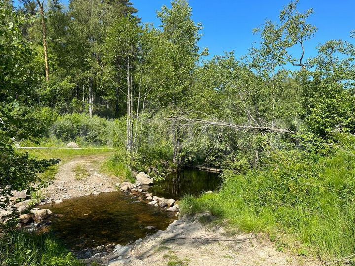 Участок 7,7 га (личное подсобное хозяйство (лпх))