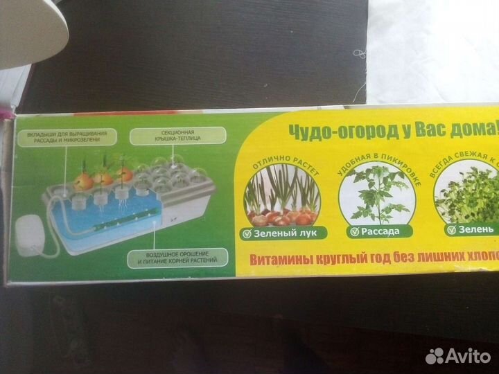 Домашняя грядка