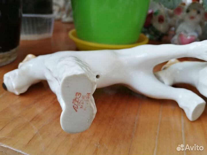 Собака фокстерьер лфз СССР