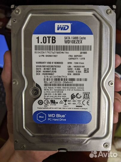 Жёсткий диск WD Blue 1tb