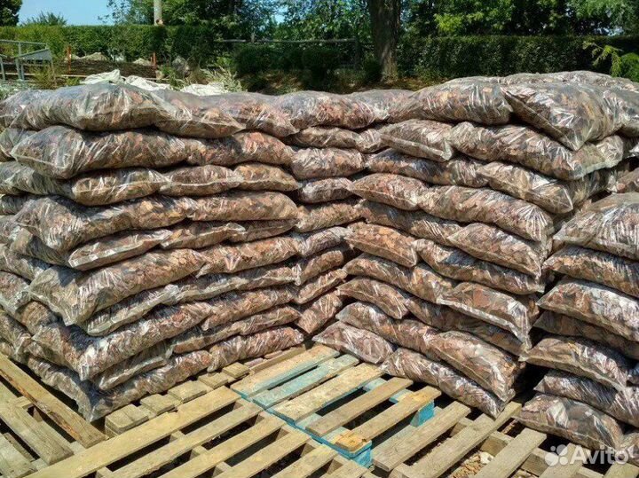 Сосновая кора