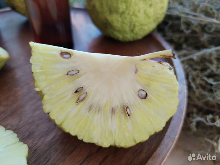 Мазь от псориаза