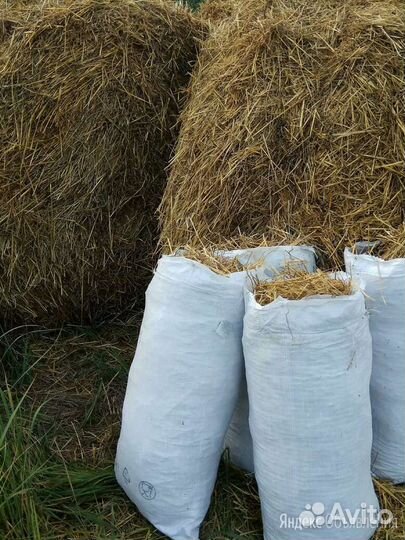 Солома в мешках