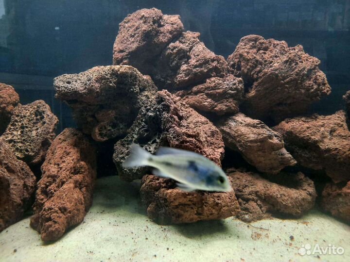 Лава вулканическая для аквариума