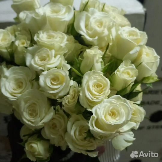 Цветы оптом Эквадор, Колумбия