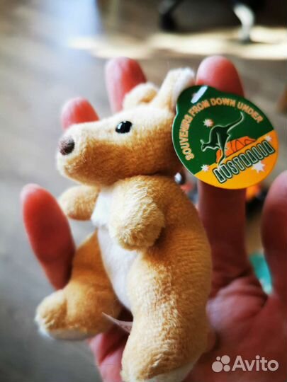 Сувениры из Австралии. Оригинальные вещички