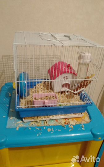 Клетка для хомяка